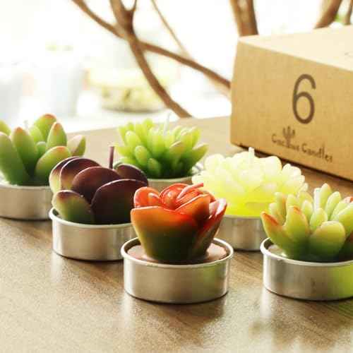 AIXIANG 6 Styles Succulent Tealight Candles Gifts for Home Decor,Mothers' Day, Halloween, Thanksgiving, Christmas