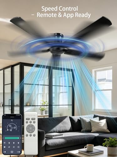 Carrefour Matte Black 48-Inch Ceiling Fan No Light - Low Profile, Reversible, 6-Speed with Remote & App Control