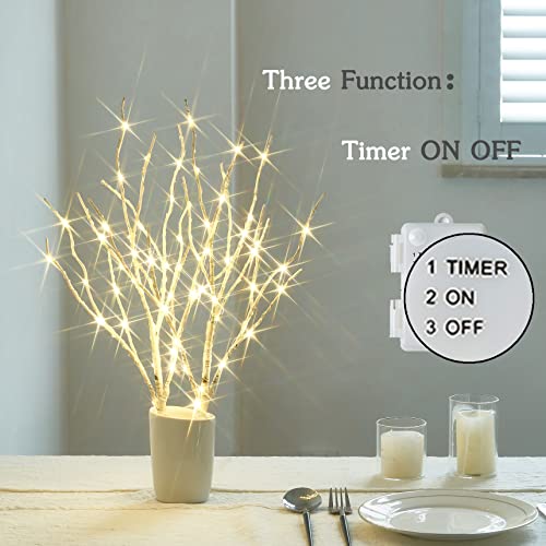 BAOLITVINE White Birch Lighted Branches with Timer 18 Inch for Holiday & Home Decor
