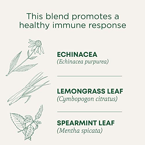 Traditional Medicinals Organic Echinacea Plus Spearmint Tea - 96 Bags, Pack of 6