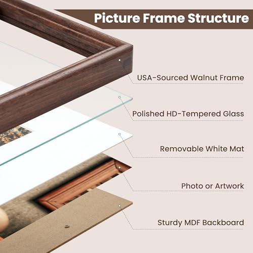 American Black Walnut Wood Poster Frame 24x36 - Natural Finish with Tempered Glass