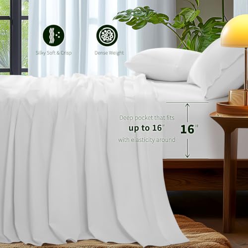 Queen White Egyptian Cotton 1000 Thread Count Bed Sheet Set - Luxury & Soft