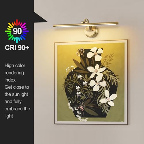 Tassuowell Brass Hard-Wired Dimmable 23.62 Inch Wall Art Picture Light for Paintings