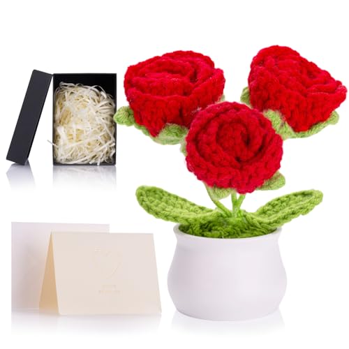 ZHIYUXI Red Eternal Rose Crochet Preserved Roses Forever Flower Decor for Teacher's Day, Birthday, Christmas, Anniversary, Crochet Gifts for Women, Mom, Wife