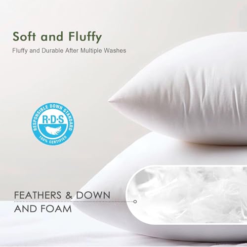 White 20x20 Inch Feather Down Throw Pillow Inserts Set of 2 - Organic Cotton Cover