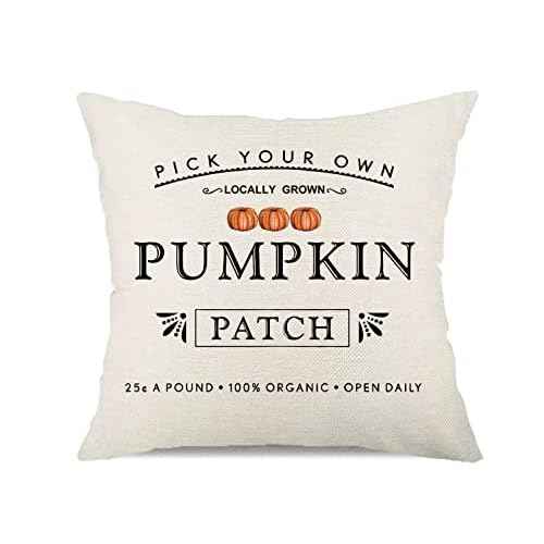 Fall Pumpkin Patch Throw Pillow Covers Autumn Harvest Pillow Case 20 x 20 Inch Farmhouse Decorations