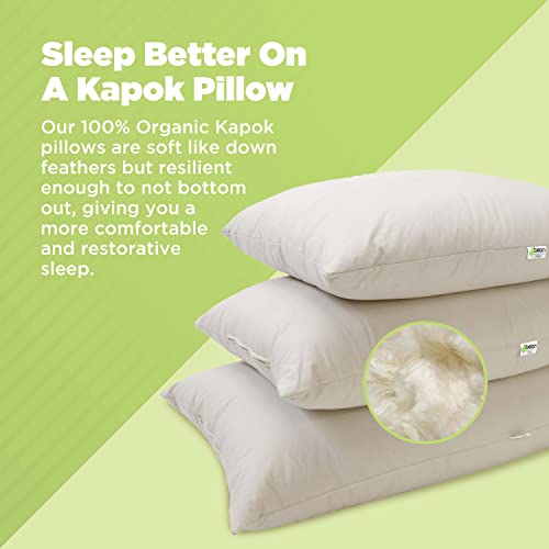 Organic Kapok Pillow Queen 20x30 Inches - Supportive Eco-Friendly Bedding