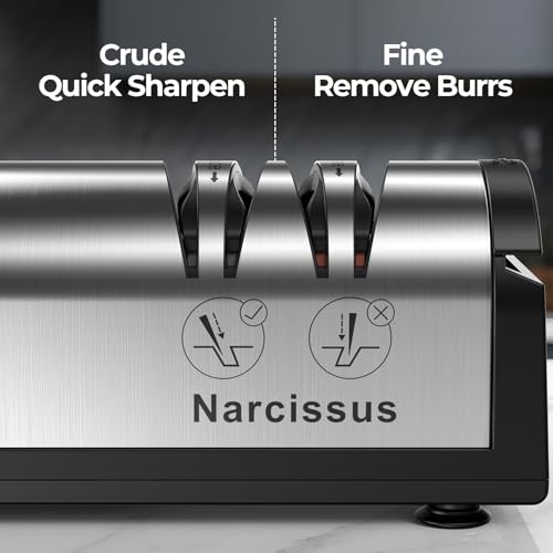 Electric Knife Sharpener 2-Stage Professional Kitchen Tool with Scissors Slot