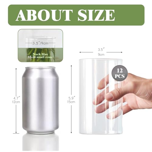 Etolies Smooth Glass Cylinder Vases Set of 12 - 6 Inch Clear Floral & Candle Holders