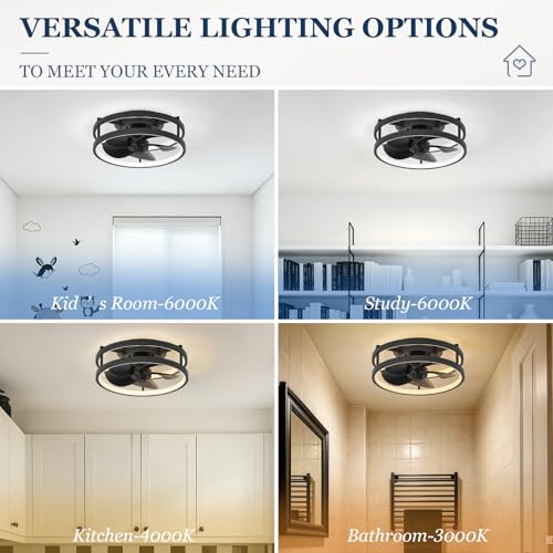 Zoruny 13" Small Low Profile Ceiling Fan with Light & Remote - Black