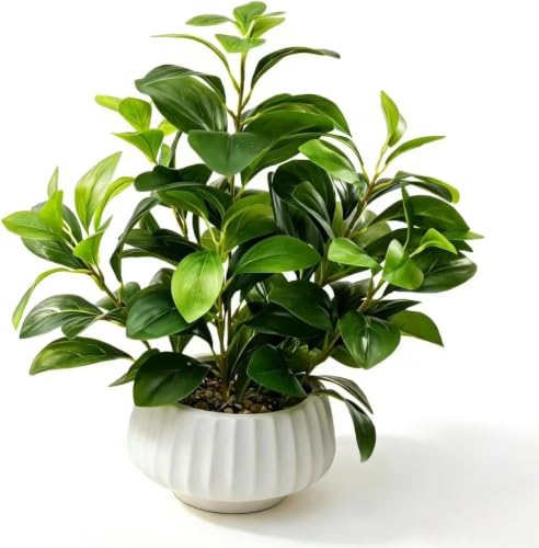 Artificial Peperomia Plants 16” Tall in White Ribbed Ceramic Planter - Plant-b by Ewtogift