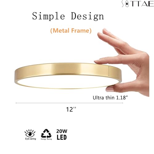 12 Inch Brushed Gold LED Ceiling Light - Modern Flush Mount Fixture with 3 Color Temperatures