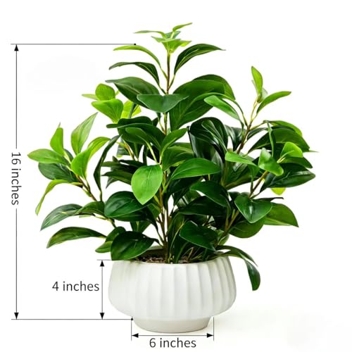Artificial Peperomia Plants 16” Tall in White Ribbed Ceramic Planter - Plant-b by Ewtogift