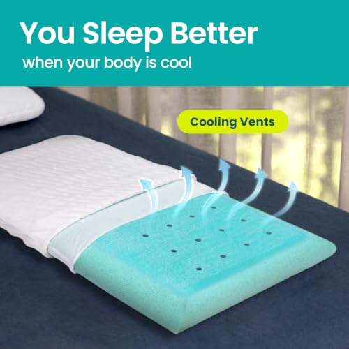 BLISSBURY White 2.6-Inch Flat Memory Foam Stomach Sleeper Pillow Queen