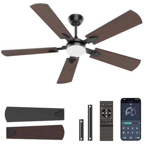 Crazypai Black 52-Inch Modern Ceiling Fan with Lights and Reversible Blades