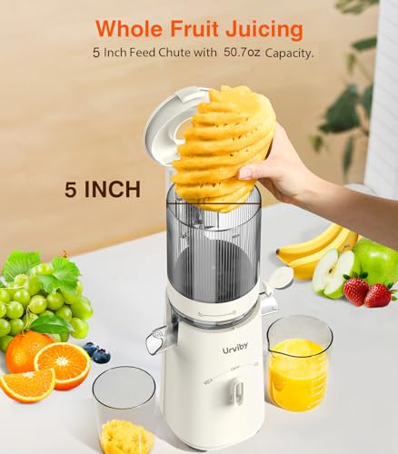 URVIBY 2-in-1 Cold Press Juicer & Sorbet Maker - White, 5-Inch Wide Chute