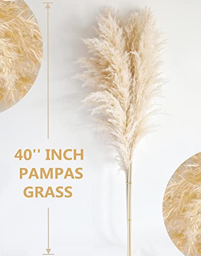 20 Stems 40-Inch Natural Pampas Grass Decor Tall for Boho Wedding Party Farmhouse