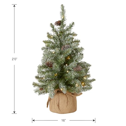 2ft Pre-Lit Flocked Artificial Christmas Tree with 50 Warm White LEDs