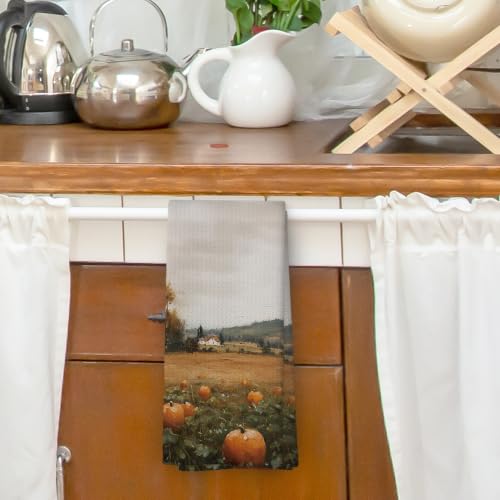 XPH Autumn20 Rustic Farmhouse Fall Pumpkin Kitchen Towels 16x24in