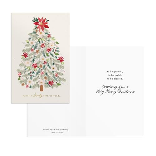 Be Merry + Blessed Dual Pack Christmas Cards with Envelopes (18 pcs) – Studio 71 DaySpring