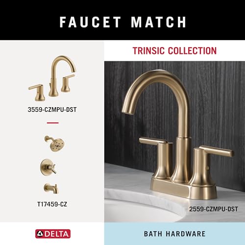 Delta 75925-CZ 24-Inch Champagne Bronze Double Towel Bar Bathroom Hardware
