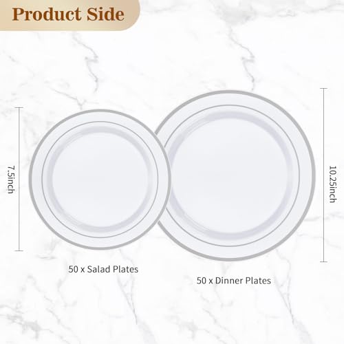 100PCS Silver Plastic Plates, Disposable Party Plates