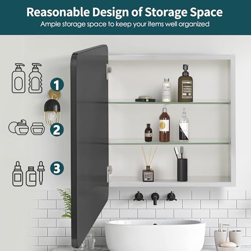 Black Bathroom Medicine Cabinet with Mirror, Adjustable Glass Shelves, Waterproof & Rust-Resist, Recessed or Surface Mount, 24x22 Inches