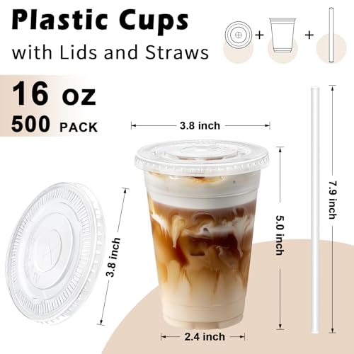 16 oz Plastic Cups with Lids and Straws - 500 Pack Clear Disposable Drinkware