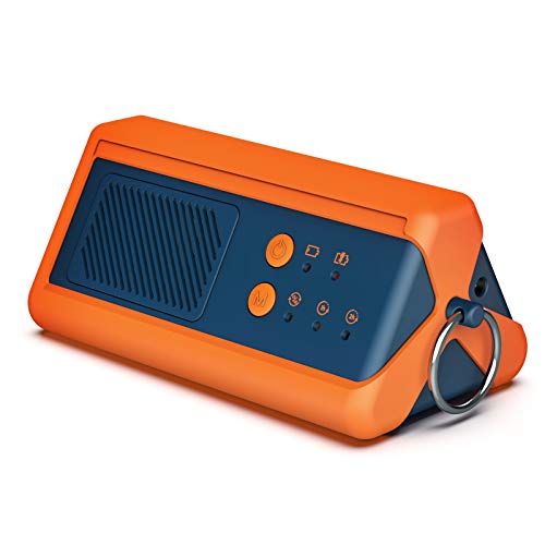 Portable Ozone Generator 1000mg/h for Odor Removal - Blue (Variation of THIS listing)