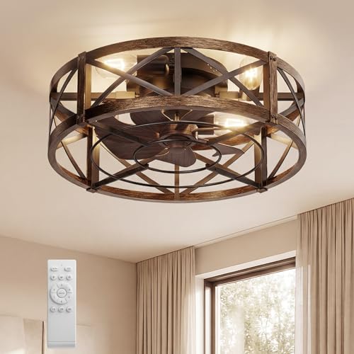 20-Inch Low Profile Caged Ceiling Fan with Light & Remote - Black & Gold
