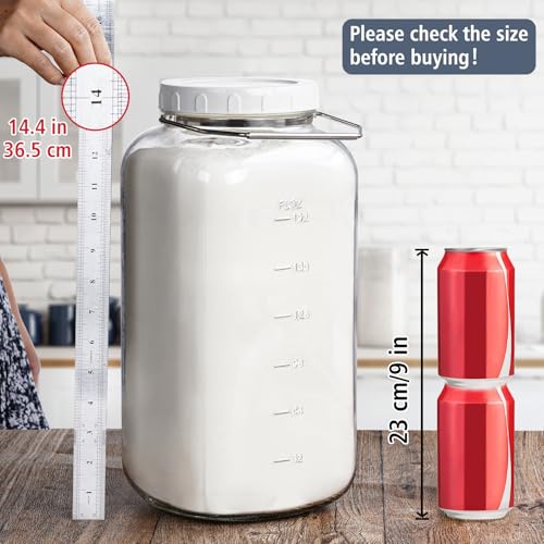 2 Gallon Airtight Glass Storage Jar with Removable Handle - Large Kitchen Canister