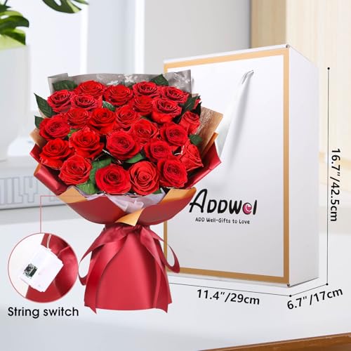 Preserved Red Roses Bouquet - 24 Long-Lasting Romantic Flowers - Ideal Anniversary & Gift for Women, Wife, Girlfriend