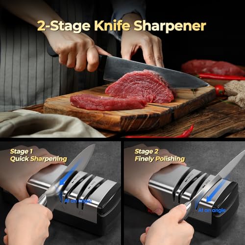 Electric Knife Sharpener with Diamond Abrasives and Scissors Sharpener - Silver (Adaptor Included)