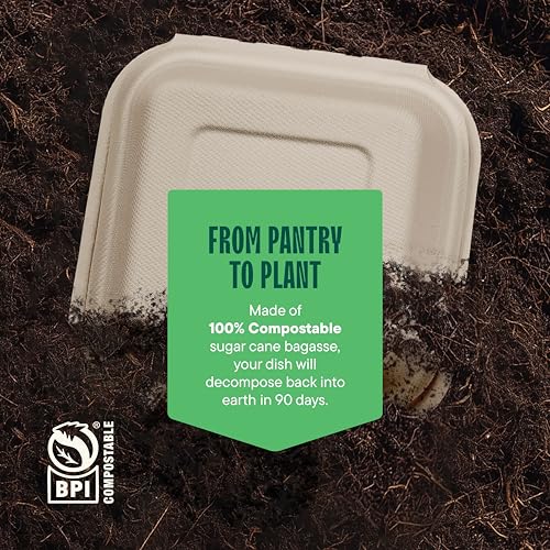 6x6 Compostable Clamshell Take Out Containers - 500-Pack, Heavy Duty, Sugarcane Fiber