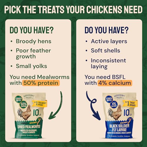 5lb Dried Mealworms for Chickens & Wild Birds - Whole Crispy Bird Food