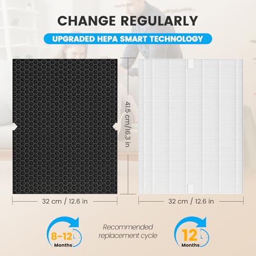 Smilyan 2-Pack HEPA & Carbon Filter Replacement for Winix 5500-2 & AM80 Air Purifiers, Model 116130
