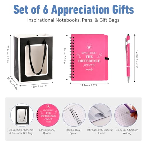 6-Pack 20 Oz Insulated Steel Tumblers with Straws & Gift Bags - Employee Appreciation Gifts