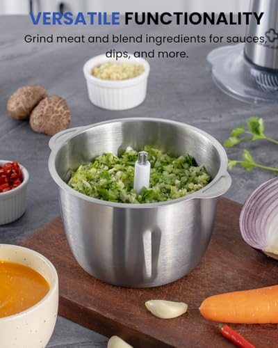 LINKChef 6-Cup Electric Food Processor & Chopper, Bright Silver & Black, 250W