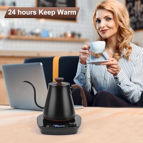 YDDZZM Black Gooseneck Electric Kettle with Temperature Control 0.9L 1000W