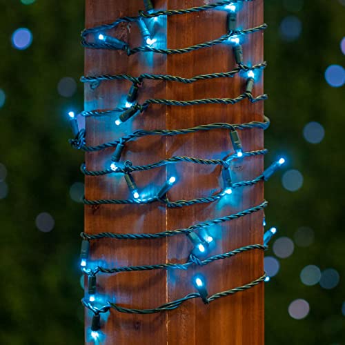 Novelty Lights Teal 25ft LED Christmas String Lights, 50 LEDs, IP55, UL Listed, Dimmable, Connectable, Green Wire