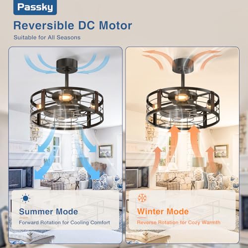 Black 20-Inch Caged Ceiling Fan with Lights and Remote Control