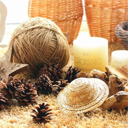 JOHOUSE 18 PCS Hanging Natural Pine Cones, Rustic Pinecones Crafts with String Fall Garland Decor Christmas Tree Ornaments Winter Vase Filler
