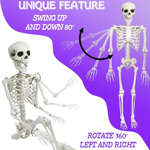 5.9FT Life Size Skeleton with Movable Joints - Halloween Full Body Decor, 1 Pack