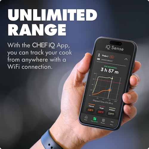 Wireless Meat Thermometer with 1 Probe - Ultra-Thin, WiFi, 1000°F Safe, 5 Sensors, for BBQ, Grill, Oven, Smoker, Air Fryer