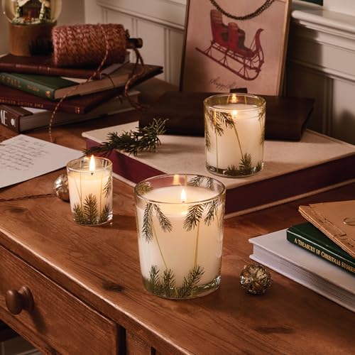 Thymes Frasier Fir Pine Needle Candle - Holiday Scented Candle in Glass Jar 6.5 oz