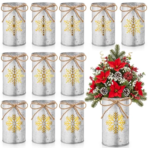 Domensi 12pcs Christmas Snowflake Vases Gold Rustic Farmhouse Decor Variation: Gold & Iron