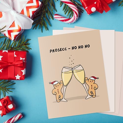 ALY LOU Funny Christmas Card Pack – 20 Cards (5 of each design) Blank Inside