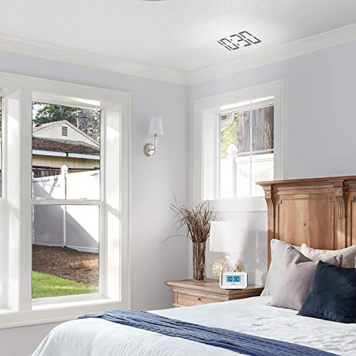 Homedics Dual Alarm Clock Radio with Time Projection & Nature Sounds - 1 Pack