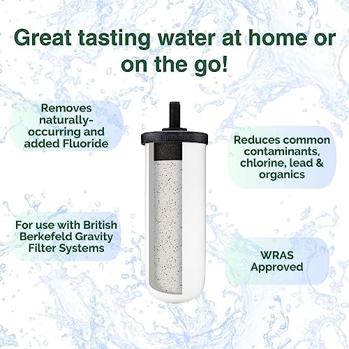 Ceramic Water Filter Cartridge for Gravity Systems - Fluoride & Heavy Metal Removal