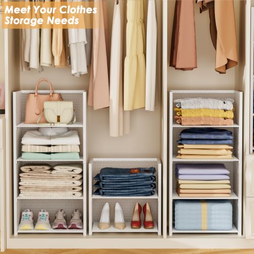 Hencawima 2-Tier Stackable Closet Organizer Baskets, Durable Iron & Wood